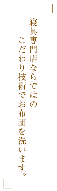 タイトル